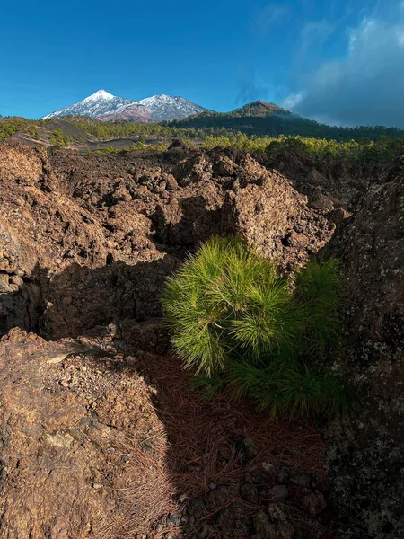 Masca Vadisi Tenerife Spanya Yüksek Devrim Panoramik Görüntü — Stok fotoğraf