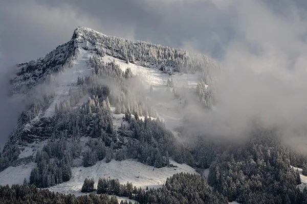 Impressionante Paesaggio Invernale Con Abeti Ricoperti Neve Giornata Gelida Scena — Foto Stock