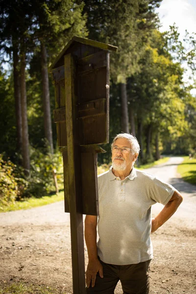 Senior Muž Těší Venku Pěší Turistika Procházky Přes Krásnou Přírodu — Stock fotografie