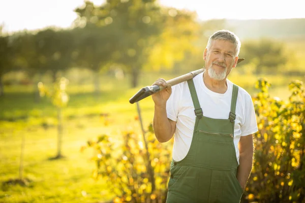 Giardinaggio Senior Nel Suo Giardino Permacultura Tenendo Una Vanga — Foto Stock