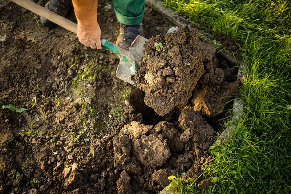 Giardinaggio Senior Nel Suo Giardino Permacultura Tenendo Una Vanga — Foto Stock