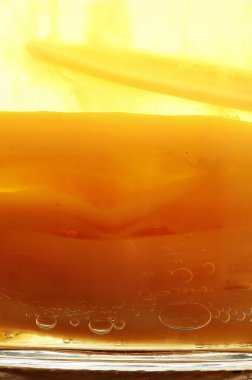 Kombucha yakın çekim