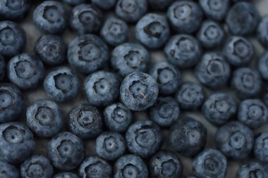         Karpuzu yaban mersini yaban mersini arka plan üzerinde damlacıklar