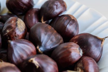 Işık arka plan üzerinde kestane meyve 