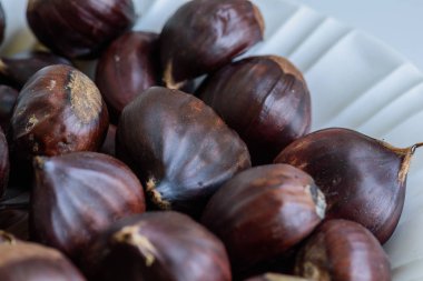 Işık arka plan üzerinde kestane meyve 