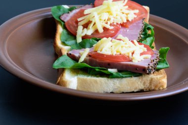 Kızarmış et, domates, kuzukulağı ve mozzarella peyniri ile tost 