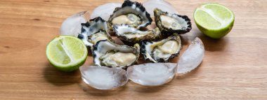  Sydney Rock istiridye