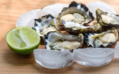  Sydney Rock istiridye