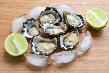  Sydney Rock istiridye