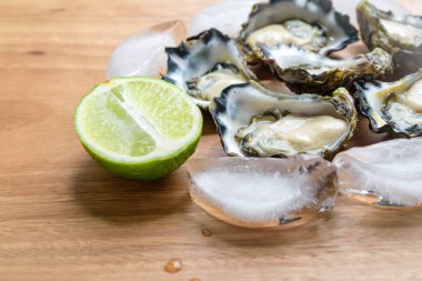  Sydney Rock istiridye