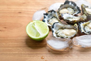  Sydney Rock istiridye