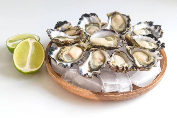 Sydney Rock Oyster — Stock Photo, Image