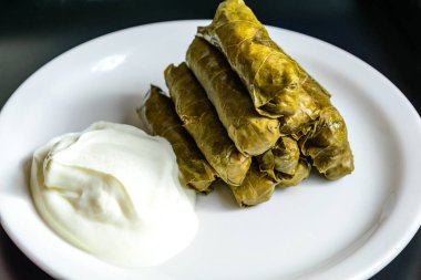 Dolma ve Doğal yoğurt 