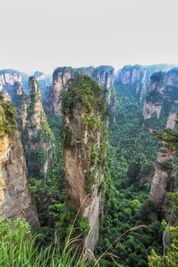 Avatar Hallelujah Dağ