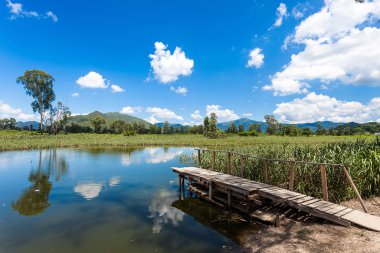 Sulak alan Park ahşap köprü