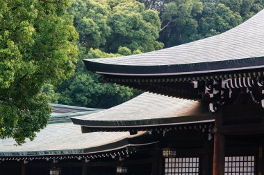 Meiji Tapınağı Park Tokyo Japon çatı