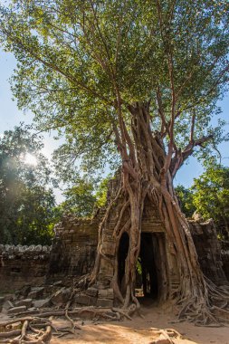  Angkor tapınakta ta Som 