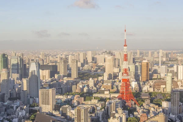 夕暮れ時の東京タワー — ストック写真