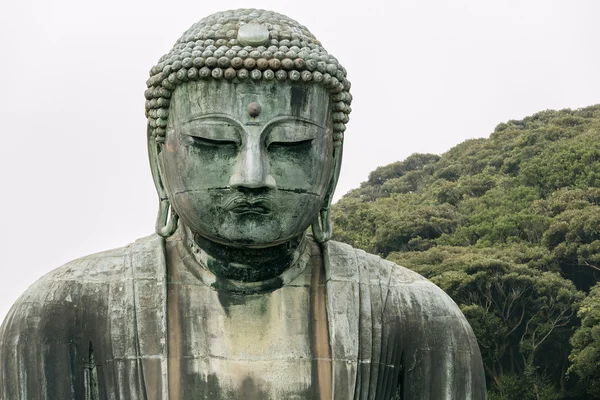 Il Grande Buddha del Tempio di Kotokuin — Foto Stock