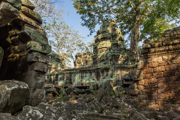 ta phrom Tapınağı angkor