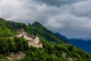 Vaduz castle in the capital of Liechtenstein clipart