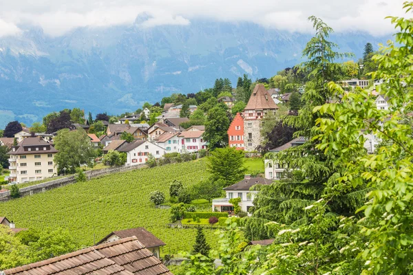 Vaduz, Liechtenstein havadan görünümü. — Stok fotoğraf