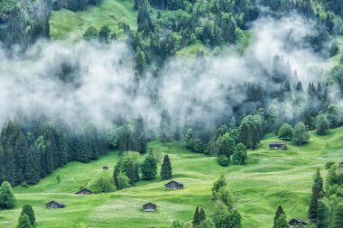 Grindelwald Köyü, İsviçre.