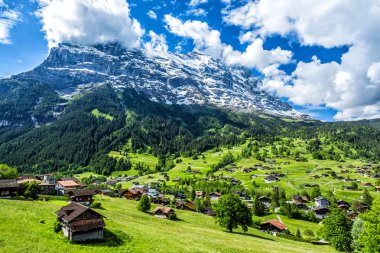 Grindelwald manzara, İsviçre.