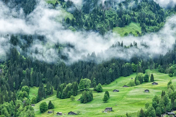 Grindelwald vesnice, Švýcarsko. — Stock fotografie