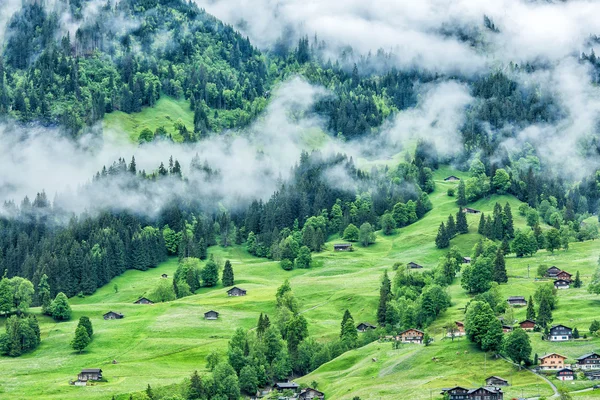 İsviçre 'deki Grindelwald Köyü — Stok fotoğraf