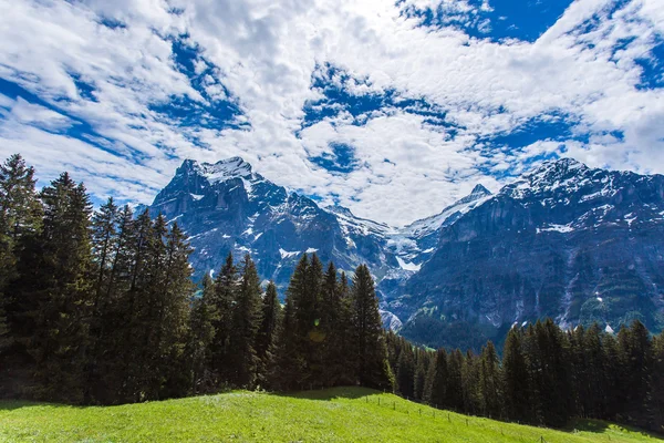 Hory v Grindelwald, Švýcarsko. — Stock fotografie