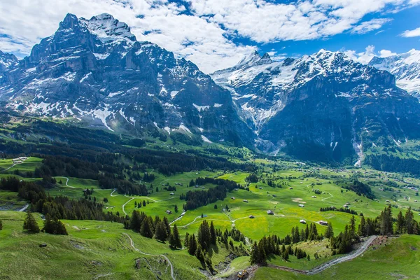 Montañas en la zona de Grindelwald, Suiza . — Foto de Stock