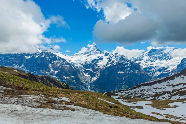 Montañas alrededor del área de Grindelwald, primera estación, Suiza . — Foto de Stock