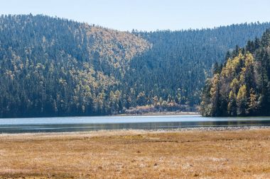 Orman Potatso Milli Parkı'nda