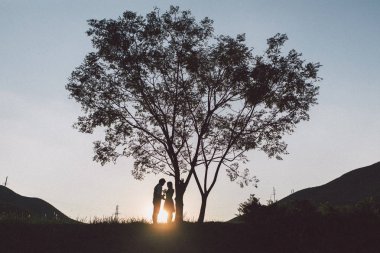 Birbirine aşık çiftler el ele tutuşur ve yaz otlaklarında ağacın yanında dururlar.  