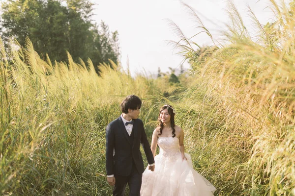 幸福的新郎新娘手牵手 彼此凝视着对方 在阳光明媚的日子里 在草地上摆姿势 结婚的念头 — 图库照片