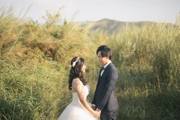 幸福的新郎新娘手牵手 彼此凝视着对方 在阳光明媚的日子里 在草地上摆姿势 结婚的念头 图库照片