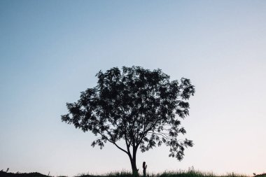 Bir ağacın altında tek başına duran bir kadın, siluet bir görüntü..