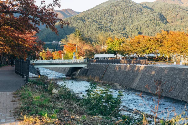 Japonya Sonbahar Ağaçları — Stok fotoğraf