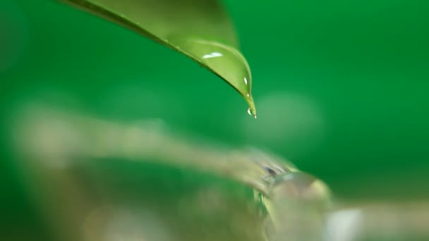 kapka vody na zelený list