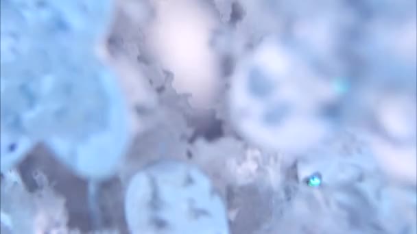Absrtaction bleue d'hiver — Video