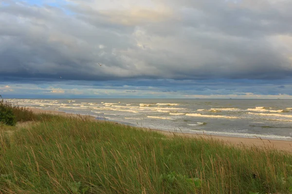 Vahşi çimenli sahil gündoğumu ılık ışık