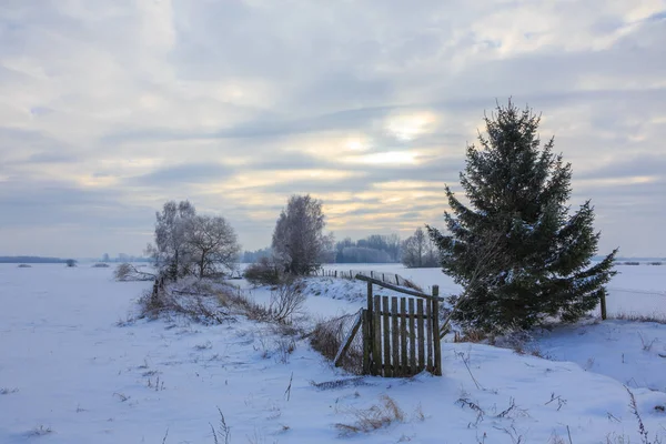 Зимний закат над лугом — стоковое фото