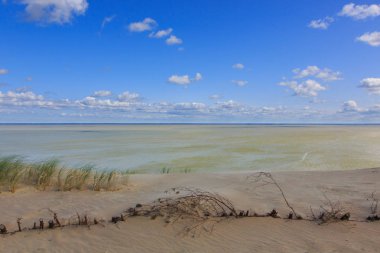 Gray Dunes's trail of Curonian Spit National Park in summer and view along Curonian Spit to east, Curonian Spit, Lithuania, Europe clipart