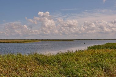 Huzurlu Liepaja Gölü yazın ön planda sazlıklar, Liepaja, Letonya, Avrupa