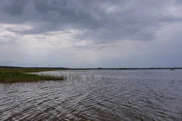 雨の中で自然保護区の紙湖 ラトビア ヨーロッパ — ストック写真