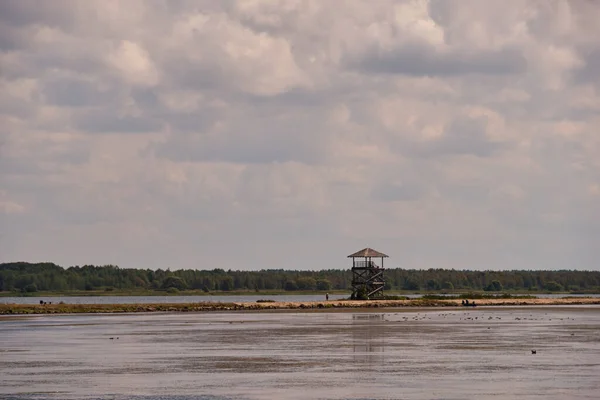 Миролюбивое Озеро Опая Летом Наблюдательная Башня Птиц Озеро Опая Латвия — стоковое фото