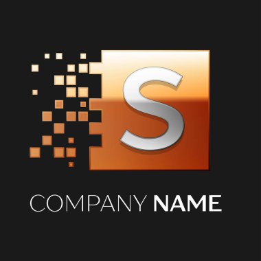 S harfi vektör logo simge shattere renkli kare