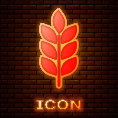 Pilav, buğday, mısır, yulaf, çavdar ve tuğla duvar arkasında izole edilmiş arpa ikonu ile parlayan neon tahıllar. Buğday ekmeği sembolleri. Tarım buğdayı. Vektör İllüstrasyonu