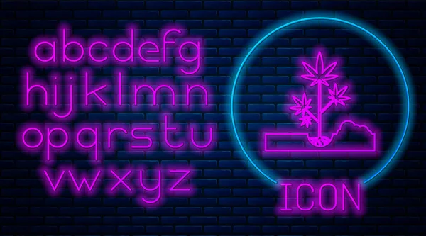 Világító neon Planting marihuána vagy cannabis növény a föld ikon elszigetelt téglafal háttér. Marihuána termesztés koncepció. Kenderszimbólum. Neonfény ábécé. Vektorillusztráció — Stock Vector